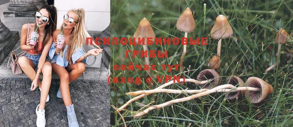 mdpv Пересвет